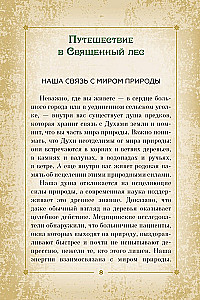 Оракул Священный лес. Таро (52 карты), гадания и знаки. Медитации в подарок